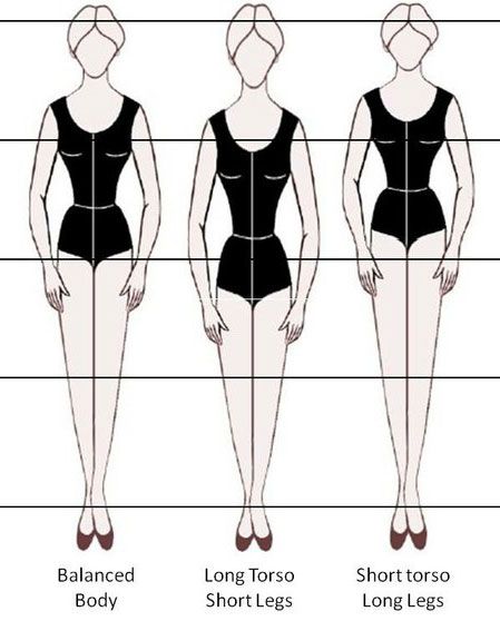 proportions corps buste long jambes courtes court longues